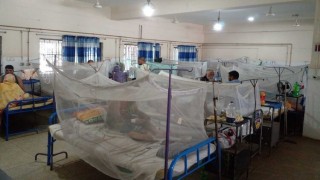 নরসিংদীতে আরও ১৬ জনের ডেঙ্গু শনাক্ত